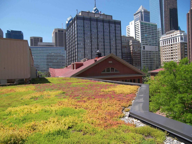 paysagiste-LES MAYONS-min_green-roof-portfolio-4